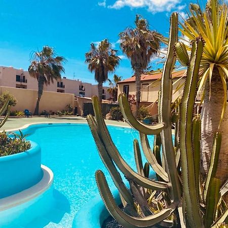 Surf And Chill Bungalow 70 Apartment Parque Holandes Ngoại thất bức ảnh