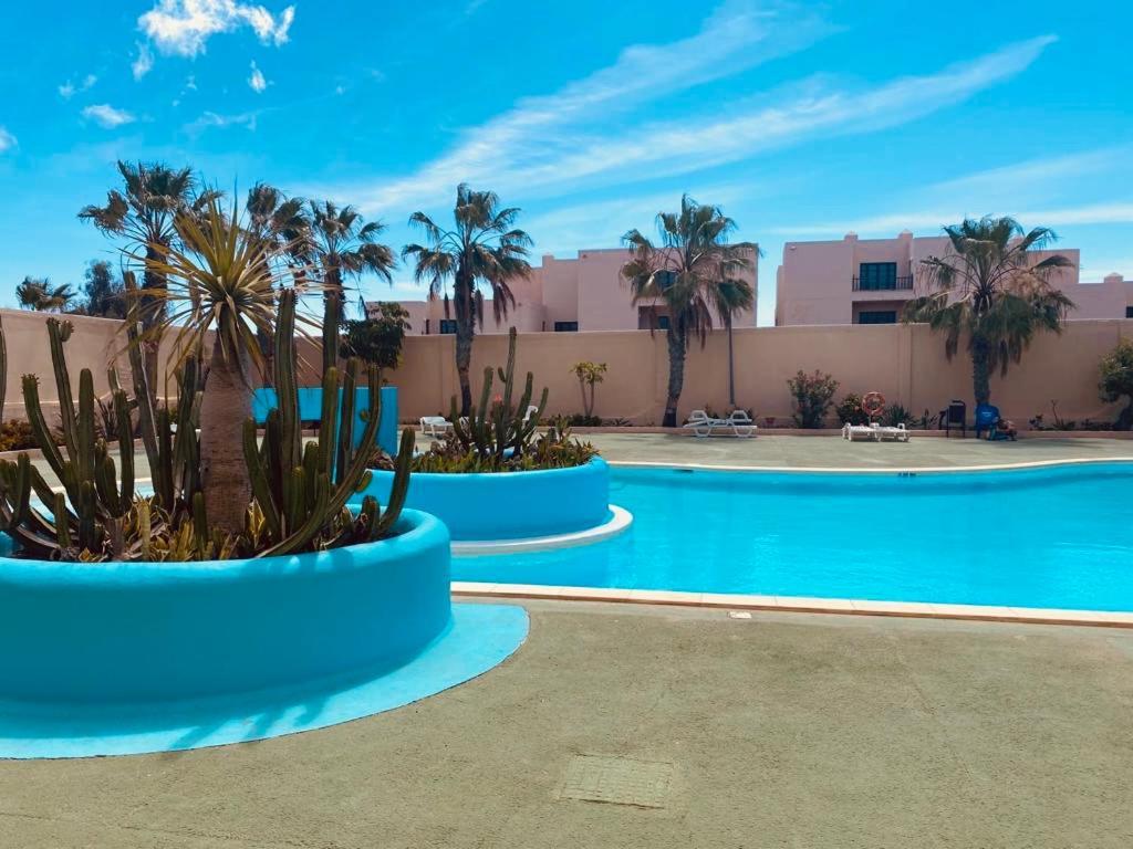 Surf And Chill Bungalow 70 Apartment Parque Holandes Ngoại thất bức ảnh